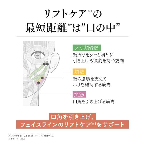 ヤーマン 歯ブラシ型美顔器 オーラルリフト YOCOL1B | ノジマオンライン