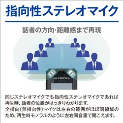 Olympus Vp Wht Icレコーダー Voice Trek 内蔵メモリー8gb パールホワイト ノジマオンライン