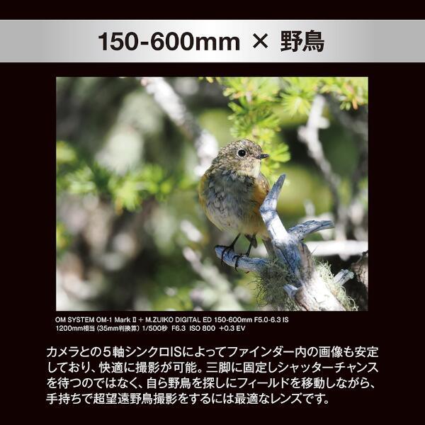 OLYMPUS ED-150-600mm-F50-63IS-BLK ミラーレス一眼用交換レンズ
