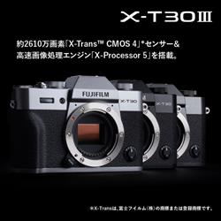FUJIFILM FUJIFILM ミラーレス一眼カメラ X-T30Ⅲボディ [チャコール