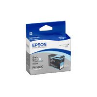 EPSON ICLC48