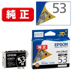 EPSON ICBK53