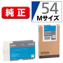 EPSON ICC54M