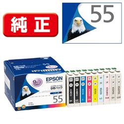 EPSON IC9CL55