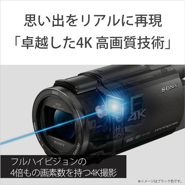 SONY FDR-AX60(チャージャー、ソフトケース付) - www.tigerwingz.com