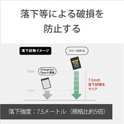 SONY - CFexpress Type A メモリーカード 160GB CEA-G160T Amazon.com: Sony CEA-G160T 160GB compact flash card