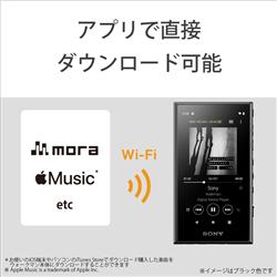 Sony Nw A107 Bm ポータブルオーディオプレーヤー Walkman ウォークマン A100シリーズ 64gb ブラック ノジマオンライン