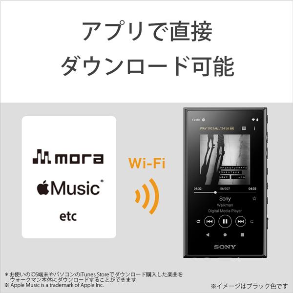 Sony Nw A107 Rm ポータブルオーディオプレーヤー Walkman ウォークマン A100シリーズ 64gb レッド ノジマオンライン