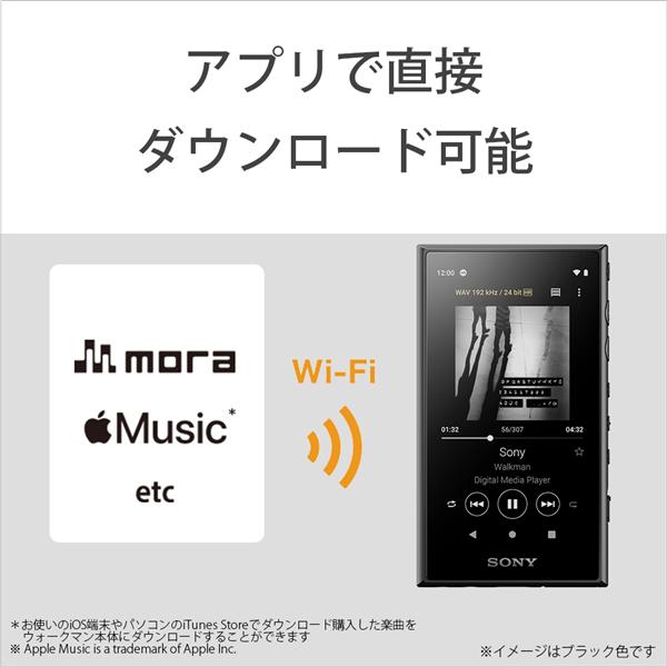 Sony Nw A106 Rm ポータブルオーディオプレーヤー Walkman ウォークマン A100シリーズ 32gb レッド ノジマオンライン