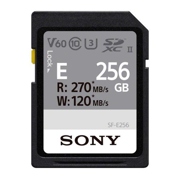 ■SONY(ソニー)　CEB-G512 [512GB]