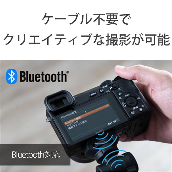 購入日2020.12.18 SONY α7RⅢ リモートコマンダー　付き