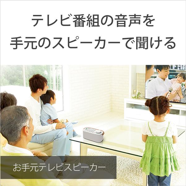 SONY SRS-LSR200 お手元テレビスピーカー | ノジマオンライン