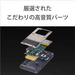 ポータブルプレーヤー SONY NW-WM1AM2 128GB Amazon.com: Sony NW-WM1AM2 Hi-Res 128GB Walkman Digital MP3