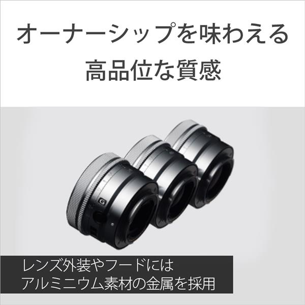 SONY SEL24F28G 【フルサイズ】【広角】α Eマウント用単焦点