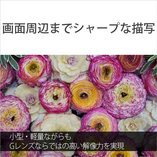 SONY SEL50F25G 【フルサイズ】【標準】α Eマウント用単焦点 SONY SEL50F25G 【フルサイズ】【標準】α Eマウント用単焦点