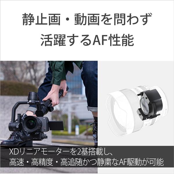SONY SEL14F18GM 【フルサイズ】【大口径】【超広角】α E SONY SEL14F18GM 【フルサイズ】【大口径】【超広角】α E