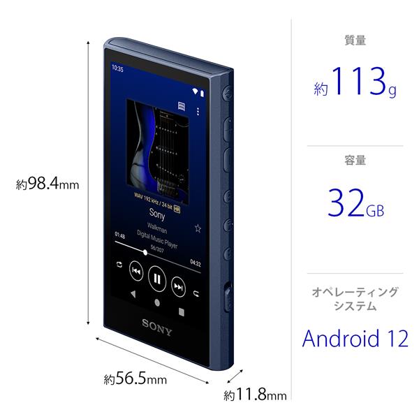 SONY NW-A306-LC デジタルオーディオプレーヤー WALKMAN(ウォークマン