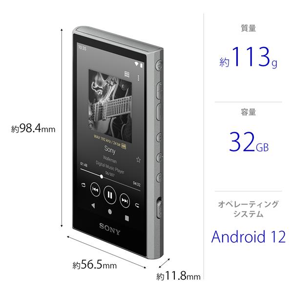 SONY WALKMAN NW-A306/BC  32GB 美品　初期化済