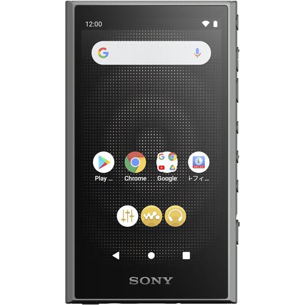 SONY NW-A306-HC デジタルオーディオプレーヤー WALKMAN(ウォークマン)【32GB/Hi-Rez対応/Android搭載/グレー】  ノジマオンライン