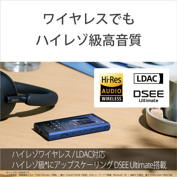 SONY NW-A306-HC デジタルオーディオプレーヤー WALKMAN(ウォークマン