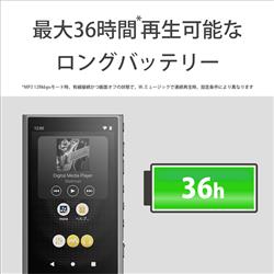 SONY NW-A306-HC デジタルオーディオプレーヤー WALKMAN SONY NW-A306-HC デジタルオーディオプレーヤー WALKMAN