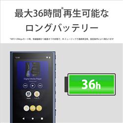 SONY デジタルオーディオプレーヤー WALKMAN(ウォークマン)【64GB/Hi