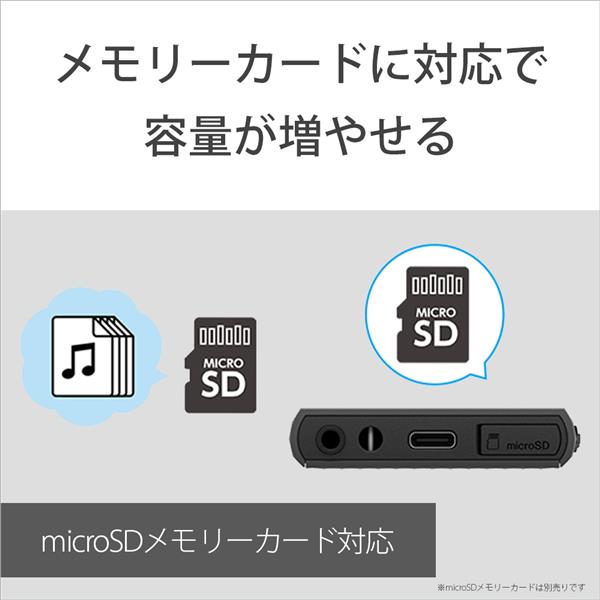 SONY NW-A307-HC デジタルオーディオプレーヤー WALKMAN(ウォークマン