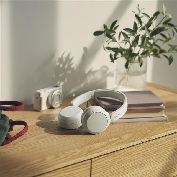 SONY ヘッドホン【ワイヤレス/Bluetooth/マイク対応/最大50時間再生