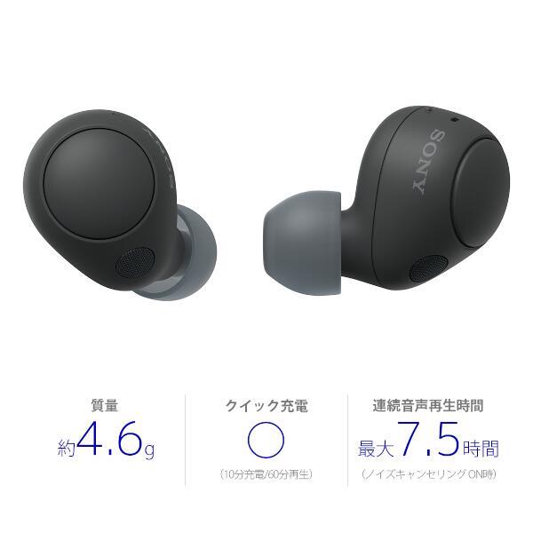 ポイント10倍 [12日•13日限定特価]SONY WH-1000XM5 BLACK - aguapreta