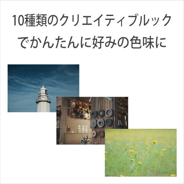 SONY ZV-1F-BC コンパクトデジカメ VLOGCAM ZV-1F【コンパクトで手軽な  