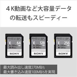 SONY SDXC UHS-II メモリーカード SF-Eシリーズ【128GB/Class10】 SF