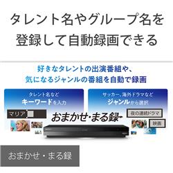 4Kブルーレイレコーダー　BDZ-FBW2200 SONY ブルーレイレコーダー BDZ-FBW2200 [2TB /2番組同時録画 /BS・CS 4K