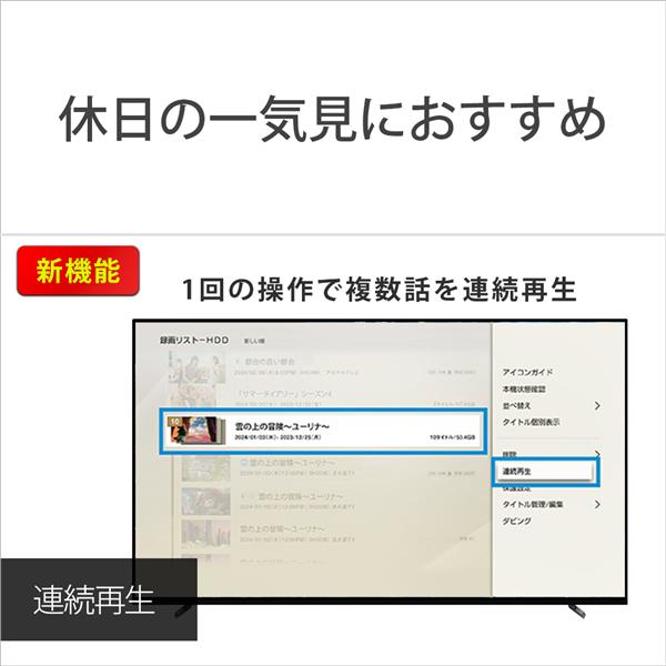 SONY ブルーレイレコーダー【2番組同時録画モデル/連続再生/1TB