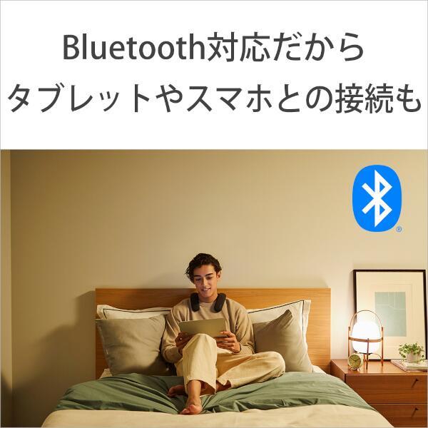 SONY HT-AN7 首掛けスピーカー BRAVIA Theatre U(ブラビア SONY HT-AN7 首掛けスピーカー BRAVIA Theatre U(ブラビア