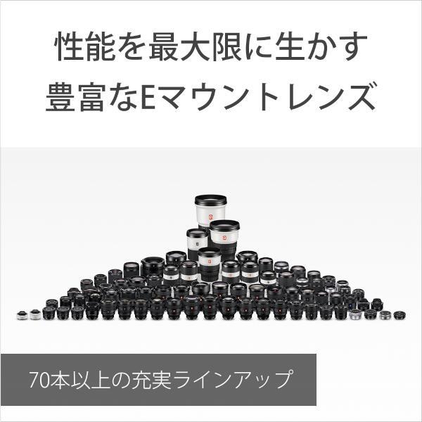 SONY ZV-E10M2X-WQ デジタル一眼カメラ VLOGCAM ZV-E10 II SONY ZV-E10M2X-WQ デジタル一眼カメラ VLOGCAM ZV-E10 II