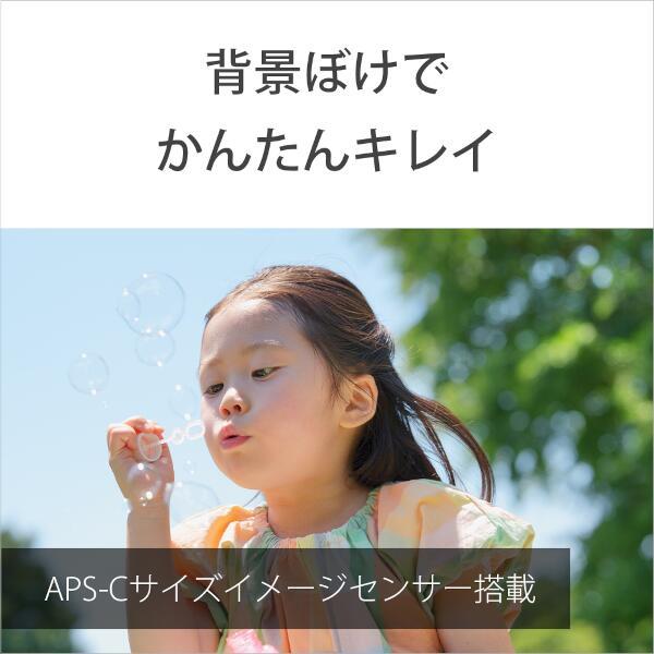 SONY ZV-E10M2X-WQ デジタル一眼カメラ VLOGCAM ZV-E10 II SONY ZV-E10M2X-WQ デジタル一眼カメラ VLOGCAM ZV-E10 II