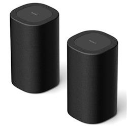 SONY SA-RS8