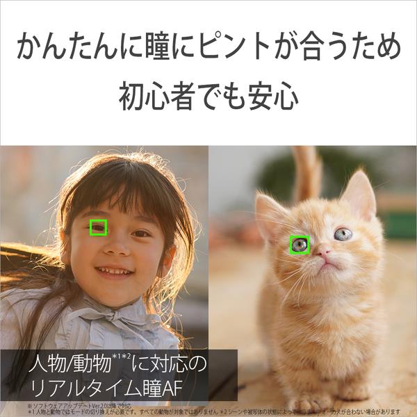 SONY デジタル一眼カメラα6400 ダブルズームレンズキット ブラック