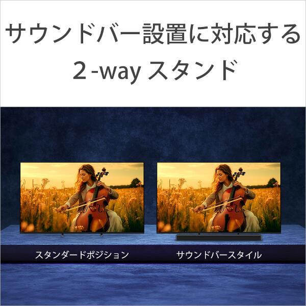 F・ピカビア、NATURE MORTE、海外版超希少レゾネ、新品額付 SONY 4K液晶TV BRAVIA5(ブラビア)【65V型/mini LED駆動/XR搭載