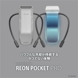 rnpk p1β