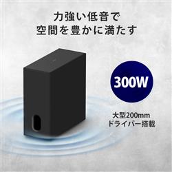 SONY BRAVIA Theatre Sub 8 サブウーファー SA-SW8 | ノジマオンライン