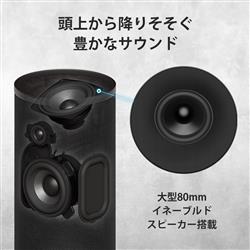 SONY BRAVIA Theatre Rear 9 リアスピーカー SA-RS9 | ノジマオンライン