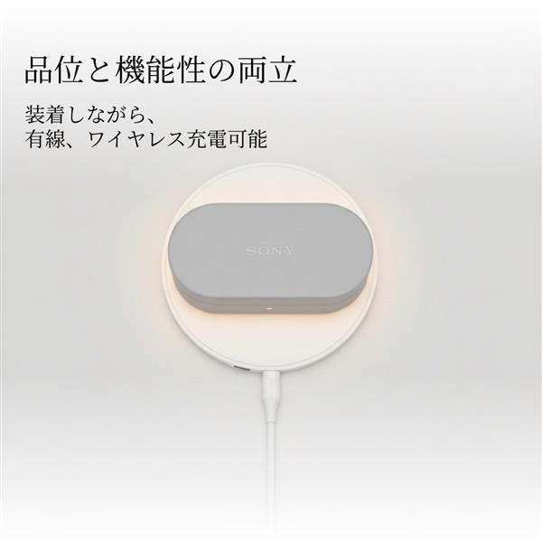 Sony WF-1000XM6専用ケースカバー HAC1000XM6C-BC | ノジマオンライン