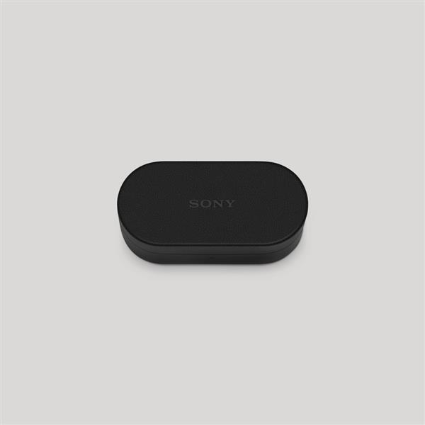 Sony WF-1000XM6専用ケースカバー HAC1000XM6C-BC | ノジマオンライン