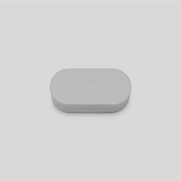 Sony WF-1000XM6専用ケースカバー HAC1000XM6C-HC | ノジマオンライン