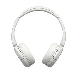 Sony WH-CH530-WZ