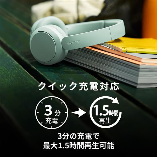Sony ワイヤレスステレオヘッドセット WH-CH530-LZ | ノジマオンライン
