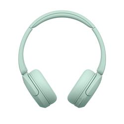 Sony WH-CH530-GZ