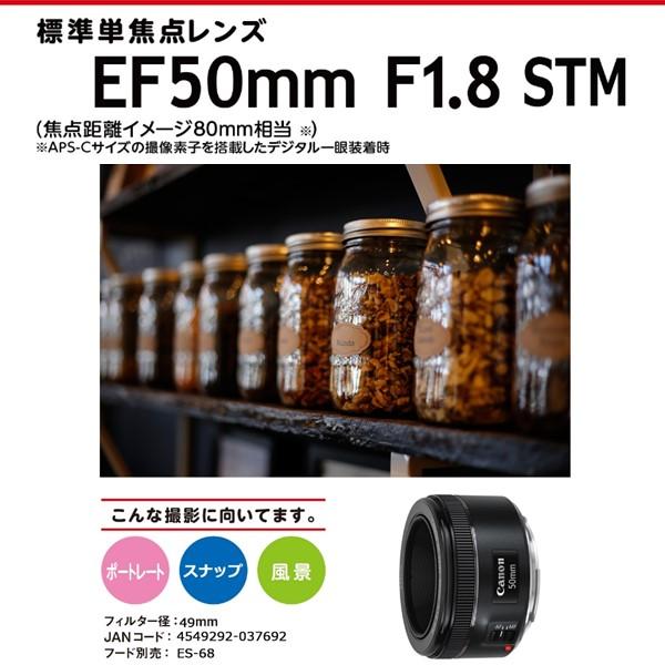 Canon 単焦点レンズ EF50mm F1.8 STM フルサイズ対応 - レンズ(単焦点)