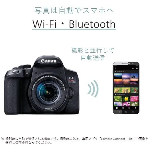 Canon EOSKISSX10IWKIT デジタル一眼レフカメラ EOS Kiss X10i ダブルズームキット | ノジマオンライン